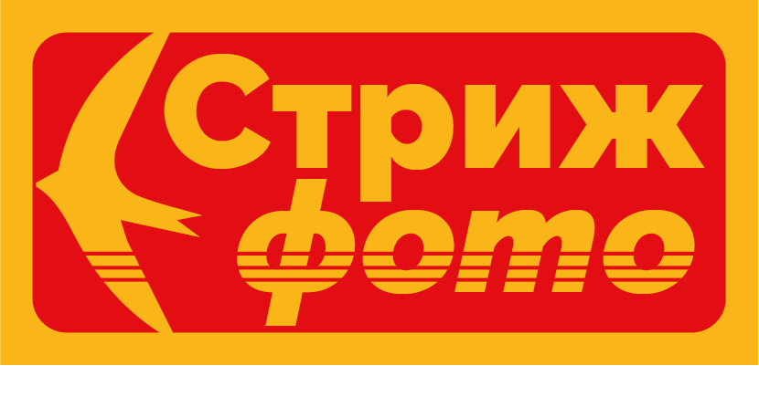 Стриж-Фото